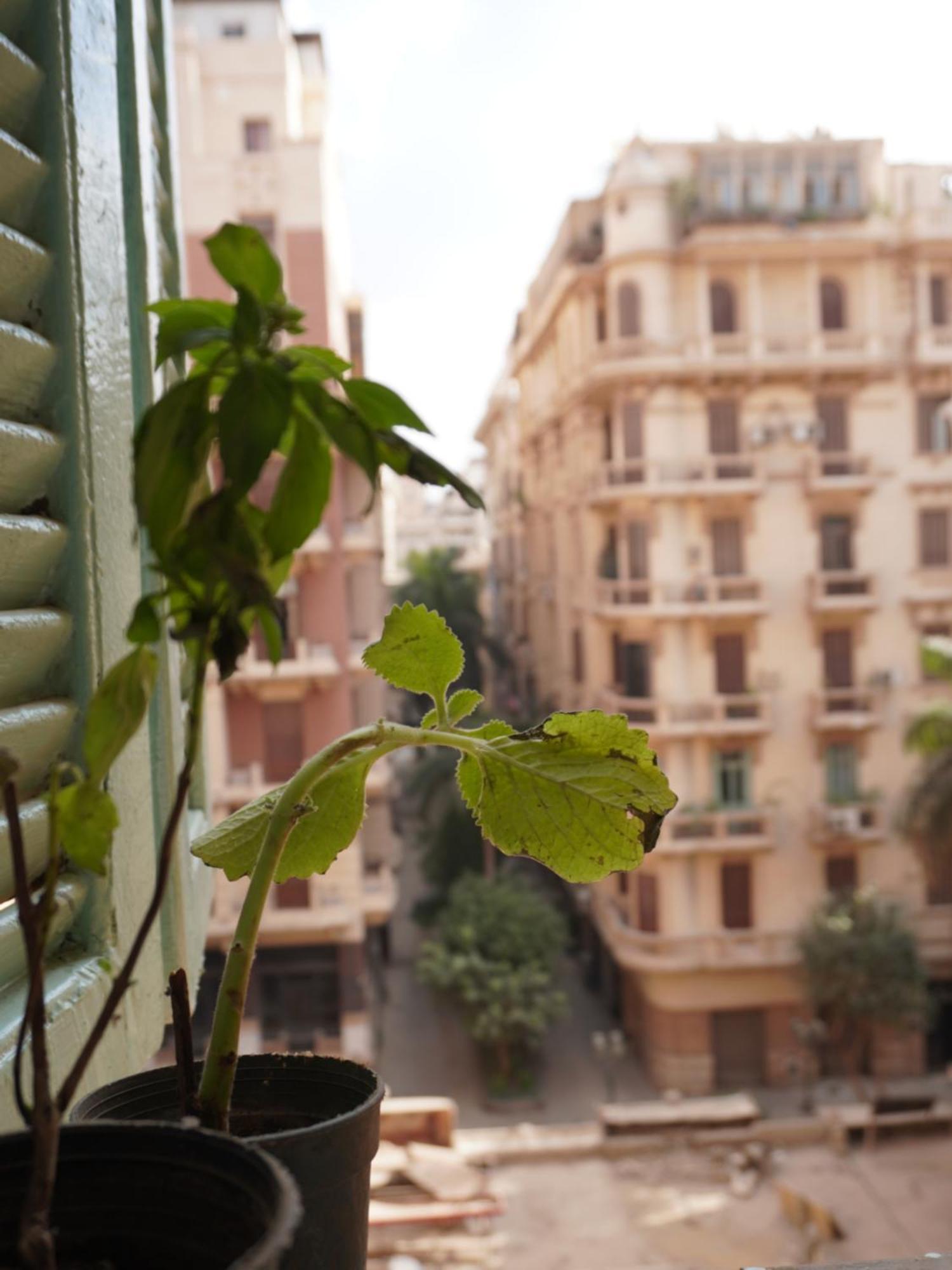 Hostel Rhala Egypt